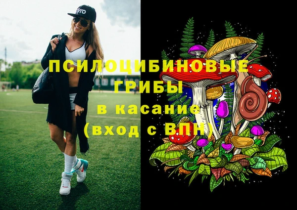 мдпв Арсеньев